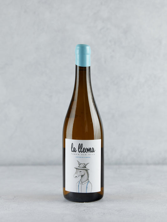 Tanca els Ulls, La Lleona, 2024