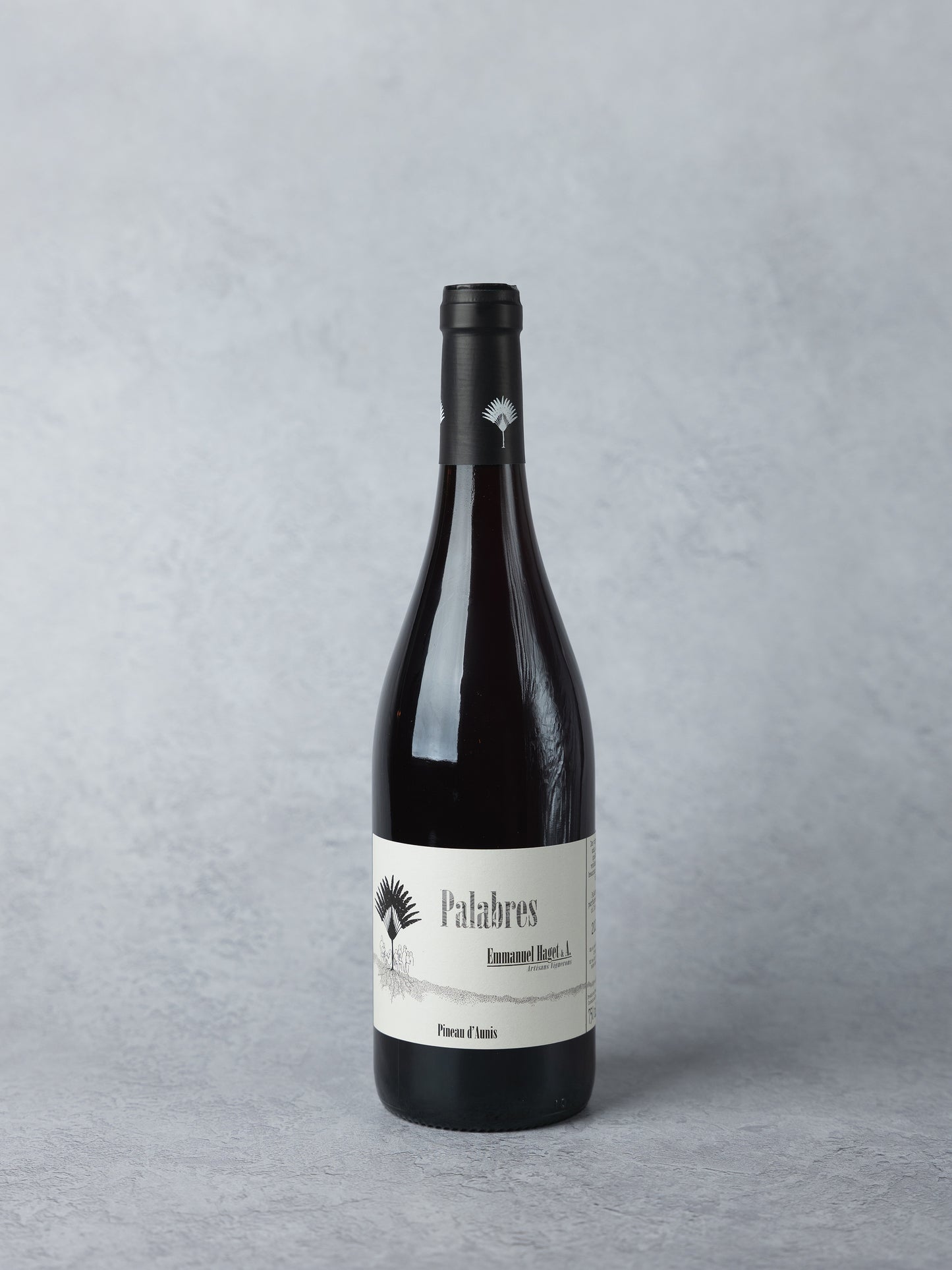 Emmanuel Haget, 'Palabres' Pineau d'Aunis 2024
